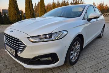 Zarejestrowany ledy Biały Alusy